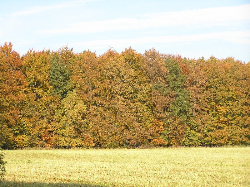 PA270448.JPG